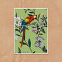 Parrot Floral Green Vintage Style Art Print, thumbnail 3 of 6