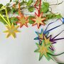 Star Shaped Rainbow Decoration Set, thumbnail 4 of 7