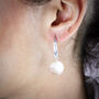 Sterling Silver Freshwater Coin Pearl Earrings, thumbnail 2 of 10
