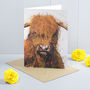 Highland Cow Greeting Card 'Angus', thumbnail 1 of 2