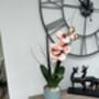 Peach Pink Luxury Silk Orchid Mothers Day Gift, thumbnail 2 of 7