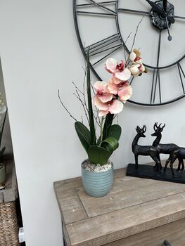 Peach Pink Luxury Silk Orchid Mothers Day Gift, 2 of 7