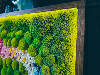 Moss Wall Art With Preserved Flowers, Floral Artwork, 12 of 12