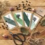 Literary Seeds: The Herbs Set Of Four Seed Packets, thumbnail 1 of 5