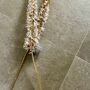White And Gold Eremurus Spray, thumbnail 5 of 6