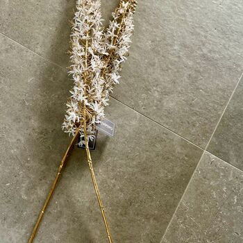 White And Gold Eremurus Spray, 5 of 6