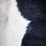 Black And White Natural Cowhide Cushion Cover, thumbnail 4 of 6