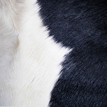 Black And White Natural Cowhide Cushion Cover, 4 of 6