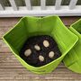 Set Of Four Reusable Potato And Vegetable Grow Bags, thumbnail 9 of 12