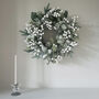 Frosted White Berry Christmas Wreath, thumbnail 1 of 5