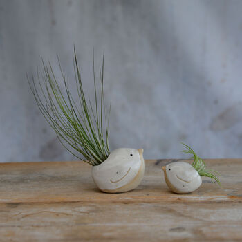 Bird Air Plant Holder In Off White, 5 of 12