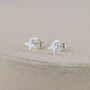 Sterling Silver Mini North Star Studs, thumbnail 1 of 3