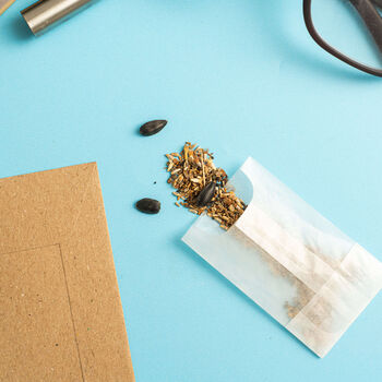 Grow Wildflowers Seed Packet, 3 of 3