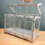 Mini Indoor Greenhouse With Plants Victorian Style, thumbnail 3 of 8