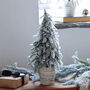 Small Snowy Christmas Tree In Pot, thumbnail 2 of 4