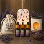 Lavender Fields Fragrance Oil Gift Set, thumbnail 1 of 2