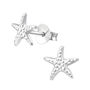 Sterling Silver Starfish Earrings In A Gift Tin, thumbnail 2 of 8