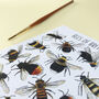 Bees Of Britain Illustrated Postcard, thumbnail 9 of 11