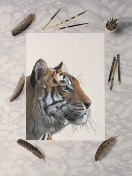 Bengal Tiger Giclée Art Print, 4 of 4