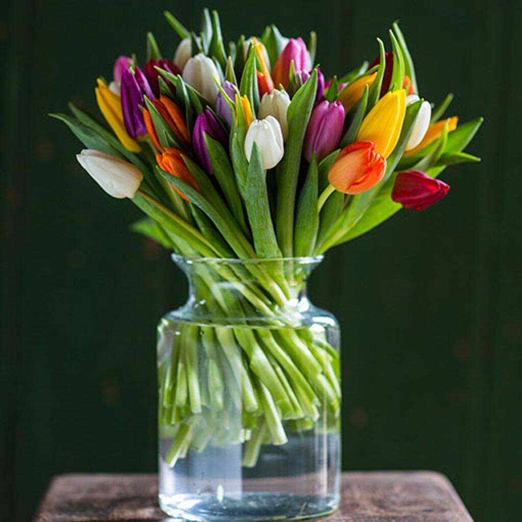 Fresh Mixed Tulips Bouquet, 1 of 4
