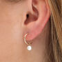 9ct Gold And Freshwater Pearl Hoop Earrings, thumbnail 2 of 3