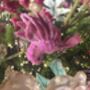 Set Of Two Hummingbird Clip On Decorations, thumbnail 7 of 7