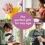 Personalised Wild Meadow Seedsticks® Gift Pack, thumbnail 8 of 11