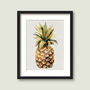 Modern Pineapple Art Print, thumbnail 2 of 4