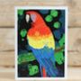 Macaw Greeting Card, thumbnail 2 of 2