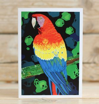 Macaw Greeting Card, 2 of 2