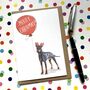 Manchester Terrier Christmas Card, thumbnail 1 of 2