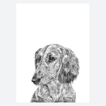 Dachshund Dog Portrait Print, 2 of 3