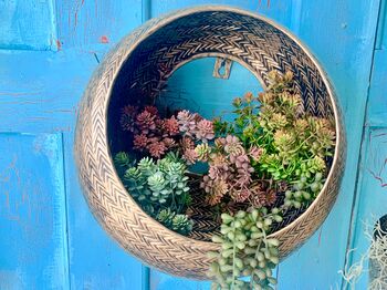 Brass Rattan Wall Planter Ltzaf142, 8 of 12