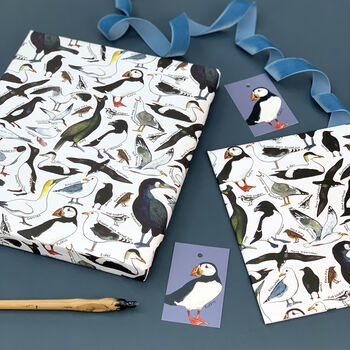 Coastal Birds Of Britain Wrapping Paper Set, 5 of 9