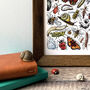 Garden Insects Of Britain Wildlife Print, thumbnail 5 of 7