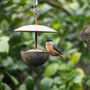 Outdoor Hanging Bird Feeder, thumbnail 1 of 3