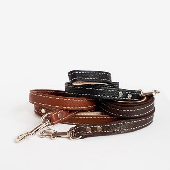 Soft Leather Leads, 4 of 5