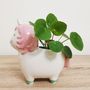 Unicorn Planter With Choice Of Plants, thumbnail 5 of 7