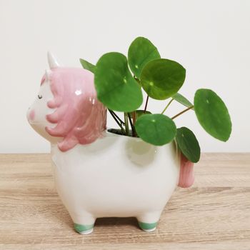 Unicorn Planter With Choice Of Plants, 5 of 7