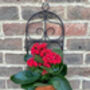 Garden Wall Planter And Flower Pot Holder Garden Decor Metal, thumbnail 9 of 9