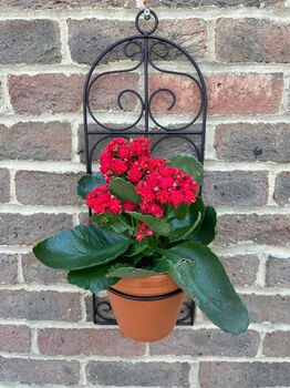 Garden Wall Planter And Flower Pot Holder Garden Decor Metal, 9 of 9