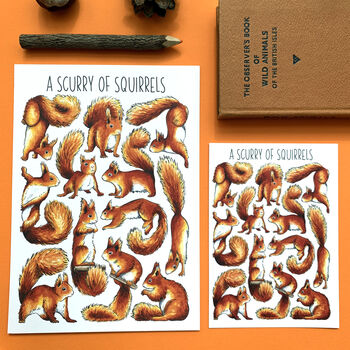 Red Squirrels Wildlife Watercolour Postcard, 2 of 10