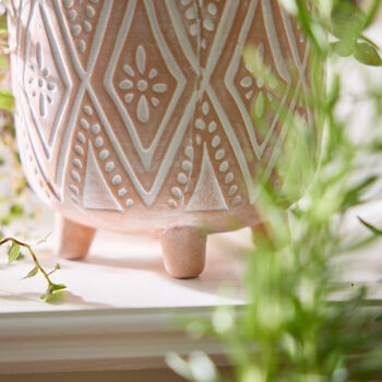 Diamond Patterned Terracotta Footed Plant Pot, 3 of 5