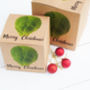 Personalised Brussell Sprout Gift Boxes, thumbnail 1 of 1