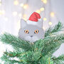Personalised Cat Breed Tree Topper, thumbnail 1 of 9