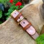 Handmade Italian Leather Padded Pastel Pink Dog Collar, thumbnail 1 of 12