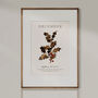 Birth Flower Wall Print 'Holly' For December, thumbnail 7 of 9