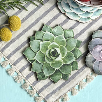 Wooden Succulent Coasters Set Of Six, 6 of 8