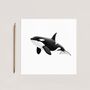 Killer Whale Sealife Card, thumbnail 1 of 6