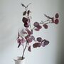 Three Faux Burgundy Eucalyptus Spray With Seeds, thumbnail 3 of 3